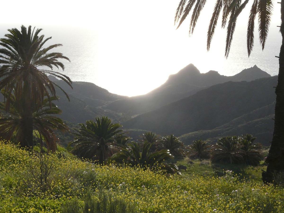 El Pirguan Holiday House, Your Oasis In La Gomera Vallehermoso Eksteriør billede