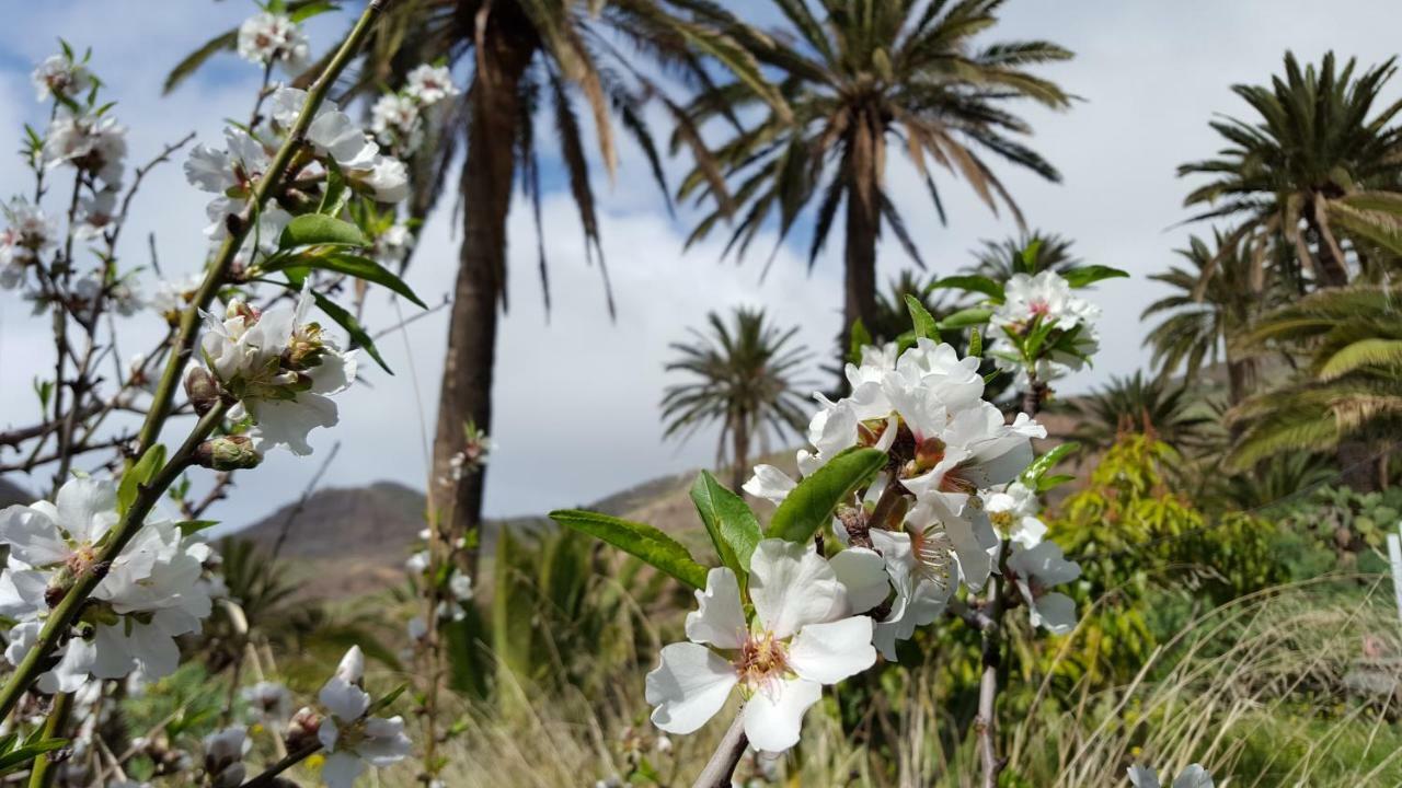 El Pirguan Holiday House, Your Oasis In La Gomera Vallehermoso Eksteriør billede