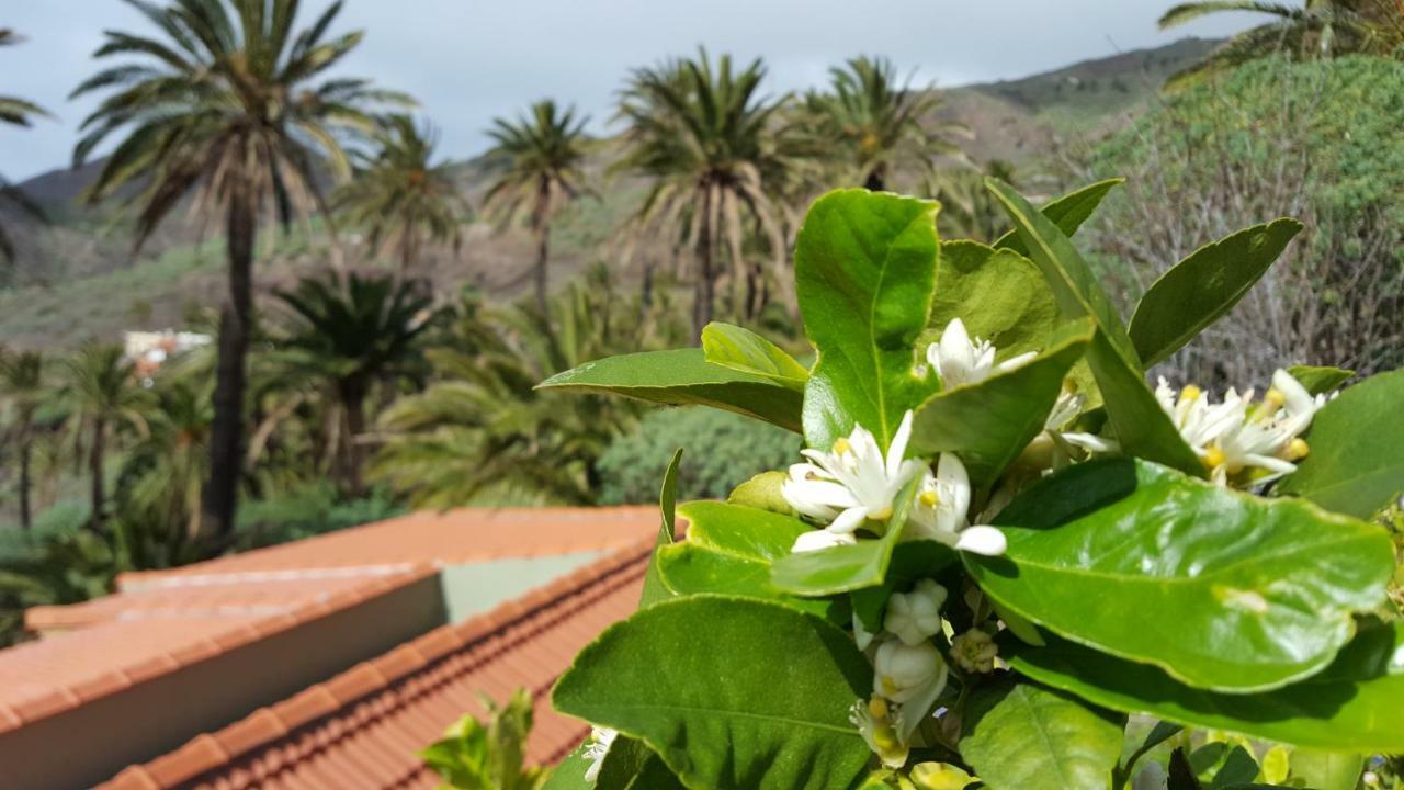 El Pirguan Holiday House, Your Oasis In La Gomera Vallehermoso Eksteriør billede