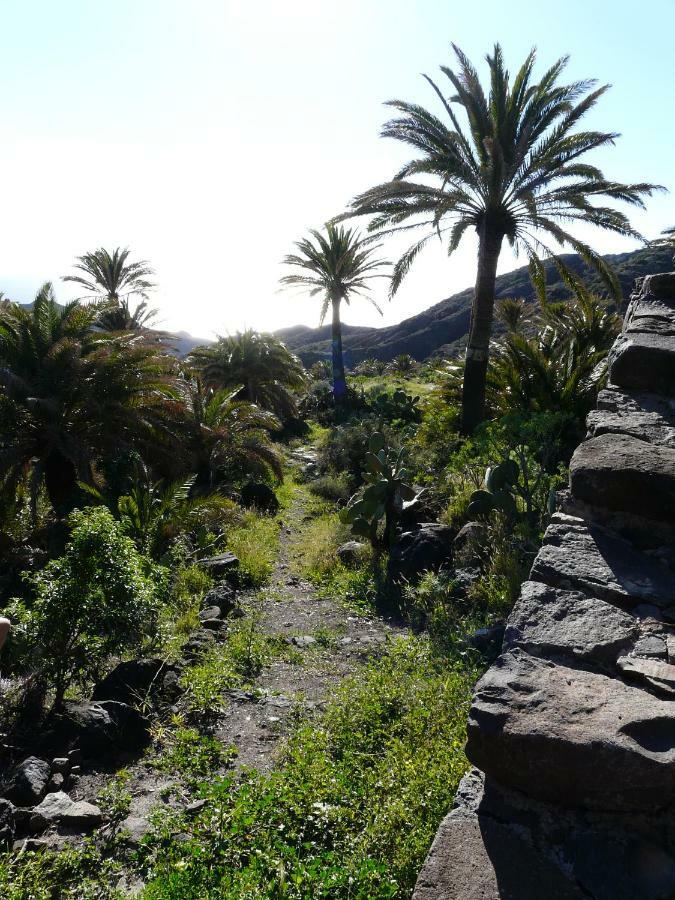 El Pirguan Holiday House, Your Oasis In La Gomera Vallehermoso Eksteriør billede