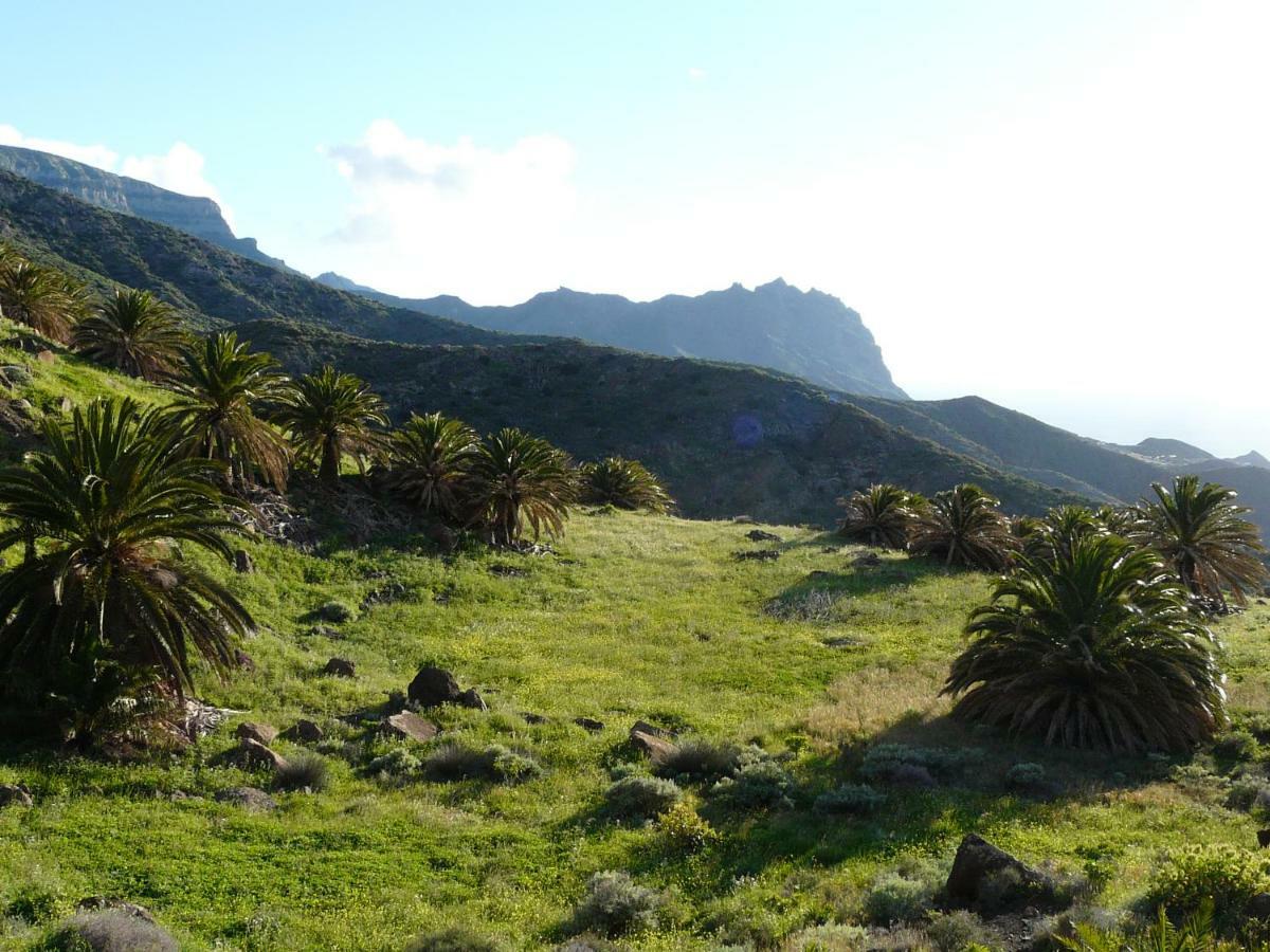 El Pirguan Holiday House, Your Oasis In La Gomera Vallehermoso Eksteriør billede