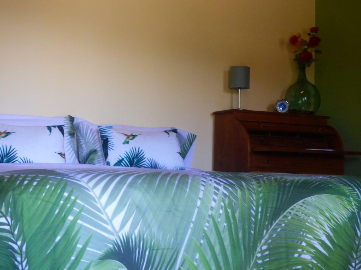El Pirguan Holiday House, Your Oasis In La Gomera Vallehermoso Eksteriør billede
